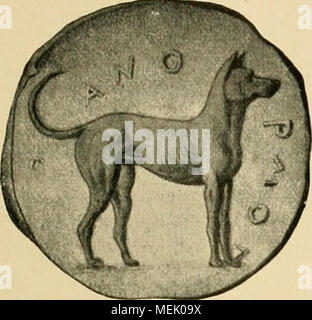 . Die Abstammung der ältesten Haustiere.. . Stockfoto