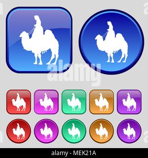 Kamel Symbol unterzeichnen. Ein Set von 12 Vintage Buttons für Ihre Konstruktion. Vector Illustration Stock Vektor