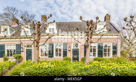 Streetview traditionelle holländische Häuser Stockfoto