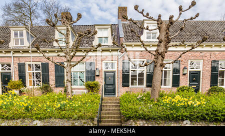 Streetview traditionelle holländische Häuser Stockfoto