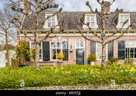 Streetview traditionelle holländische Häuser Stockfoto