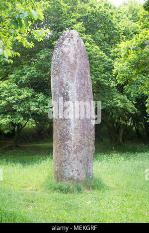 Der Menhir de Kerampeulven, ein Standing Stone bei Huelgoat, Brittant, Frankreich - Johannes Gollop Stockfoto