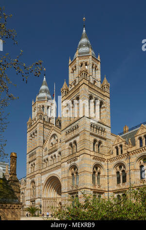 Das Natural History Museum Cromwell Road London England Großbritannien Stockfoto