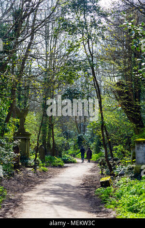 Abney Park Friedhof, einer der glorreichen Sieben Friedhöfe in London, Großbritannien Stockfoto