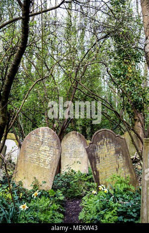 Drei gekippt Grabsteine im Wald, Abney Park Friedhof, einer der glorreichen Sieben Friedhöfe in London, Großbritannien Stockfoto