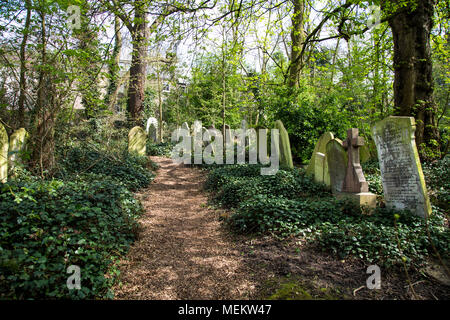 Trail durch einen überwucherten Friedhof, Abney Park Friedhof, einer der glorreichen Sieben Friedhöfe in London, Großbritannien Stockfoto