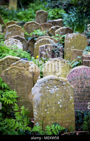 Viele überfüllt mit Grabsteine und Gräber, Abney Park Friedhof, einer der glorreichen Sieben Friedhöfe in London, Großbritannien Stockfoto