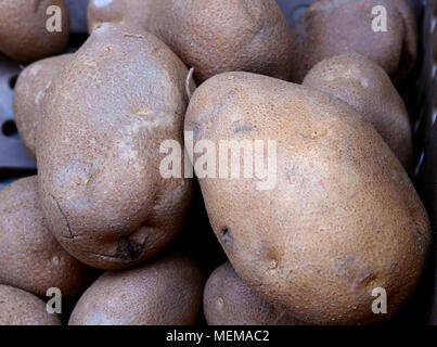Amey Rotbraun Kartoffeln bei Farmer's Market Stockfoto