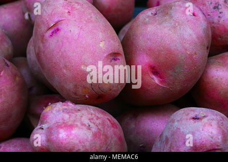NY 118 Kartoffeln bei Farmer's Market gesehen Stockfoto