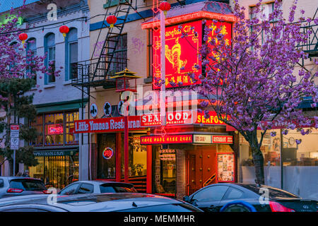 Fisgard Street, Chinatown, Victoria, British Columbia, Kanada. Stockfoto