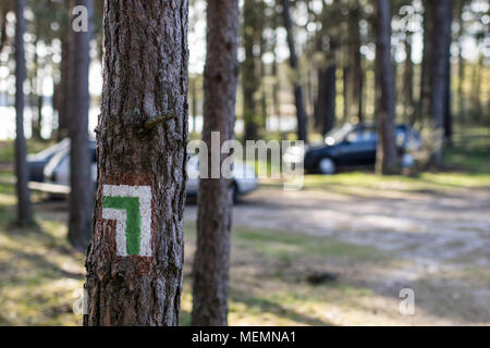 Kennzeichnung touristische Routen, die an einem Baum im Wald. Bäume mit Anzeichen für den Einsatz im Feld. Saison der Feder. Stockfoto