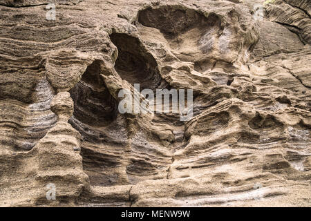 Sandsteinmauer Formation mit Bohrungen an Yongmeori Strand, Sanbang-ro, Jeju Island, South Korea Stockfoto