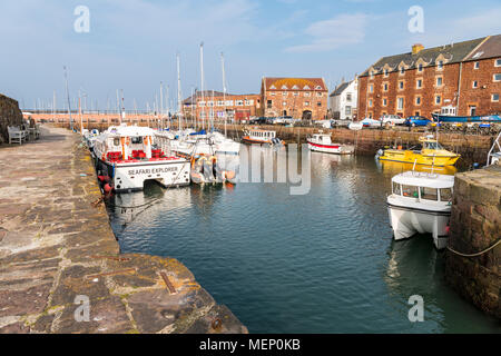 North Berwick Harbour, Schottland Stockfoto