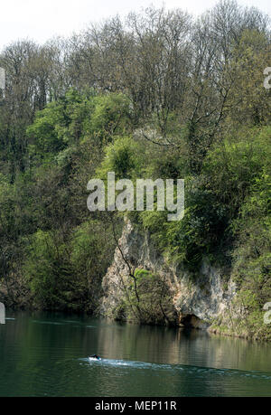 Ein Taucher schwimmen in Dosthill Steinbruch, Tamworth, Staffordshire, England, UK Stockfoto