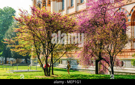 Mailand, Italien - April 14th, 2018: schwangere Frau posiert für ein Bild neben einem rosa blühenden Baum Stockfoto
