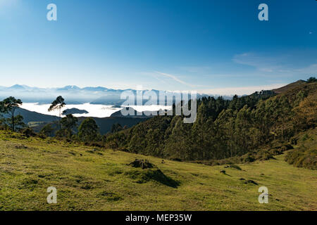 Dies ist ein Teil der Picos De Europa in der Provinz Asturien, im Norden Spaniens. Stockfoto