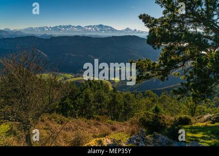 Dies ist ein Teil der Picos De Europa in der Provinz Asturien, im Norden Spaniens. Stockfoto