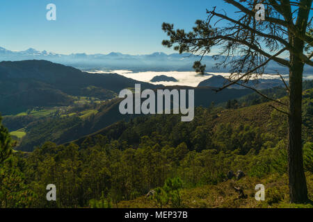 Dies ist ein Teil der Picos De Europa in der Provinz Asturien, im Norden Spaniens. Stockfoto