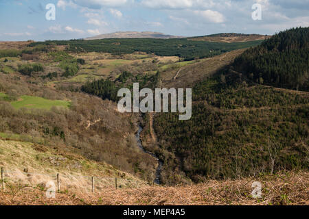 Afon Mawddach fließt durch Coed y Brenin im südlichen Bereich des Snowdonia National Park (Parc Cenedlaethol Eryri) in der Grafschaft Gwynedd Stockfoto