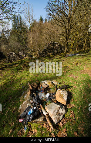 Müll hinter sich gelassen von den Leuten, die wild im Coed y Brenin (Könige Wald) in Snowdonia National Park gezeltet haben, weg von der offiziellen Campingplätze Stockfoto