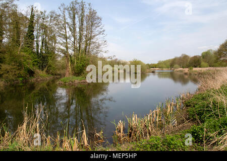 Watermead Country Park in Leicestershire, England, ein Netzwerk von Seen, Wälder und Naturschutzgebiete von 340 Hektar kies Arbeitsweise erstellt. Stockfoto