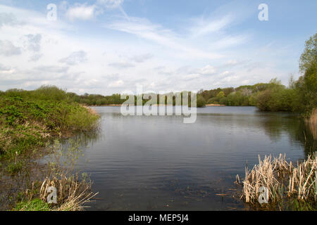 Watermead Country Park in Leicestershire, England, ein Netzwerk von Seen, Wälder und Naturschutzgebiete von 340 Hektar kies Arbeitsweise erstellt. Stockfoto