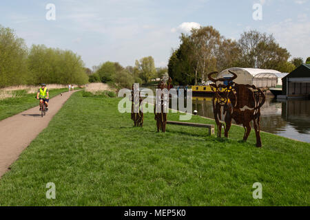 Watermead Country Park in Leicestershire, England. Ein Radfahrer auf seine Weise um eine der vielen Wege rund um die Seen. Stockfoto