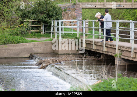 Watermead Country Park in Leicestershire, England. Auf der Suche über eine Brücke über einen Fluss Wehr. Stockfoto