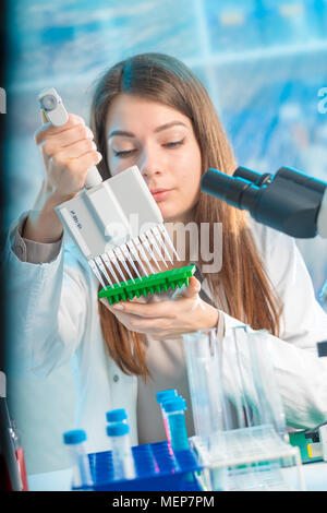 Student Frau mit multi Pipette und andere PCR-Produkte in der mikrobiologischen/genetischen Labor Stockfoto