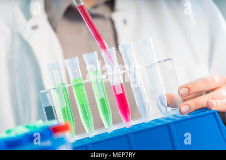 Junge Frau im wissenschaftlichen Labor mit Pipette und Chemikalien in den Reagenzgläsern Stockfoto