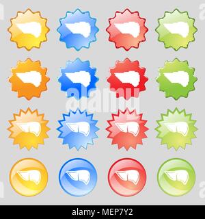 Leber Symbol unterzeichnen. Großer Satz von 16 farbenfrohen modernen Tasten für Ihr Design. Vector Illustration Stock Vektor