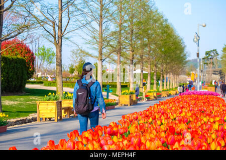 Suncheonman bay International Garden in Suncheon city von Südkorea. Schönen Garten in Suncheon city von Südkorea. Stockfoto