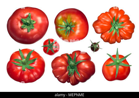 Heirloom Tomaten calyces (sepalen), Ansicht von oben Stockfoto