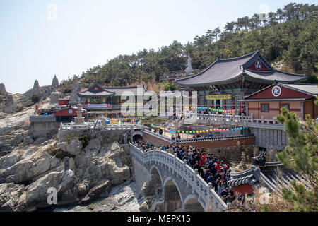 Busan, Südkorea - Buddhistische Gläubige besuchen Haedong Yonggungsa Tempel, einer der wenigen seaside Tempel der Welt. Stockfoto