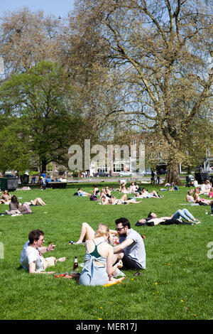 Menschen auf Rasen in Clapham Common an einem warmen Frühlingstag - London, Großbritannien Stockfoto