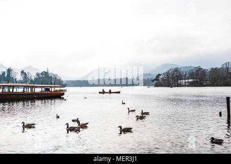 Enten und Bootfahren auf Derwentwater. Stockfoto