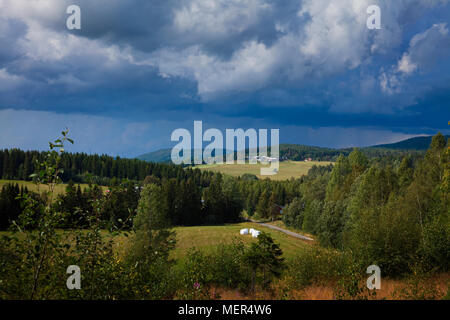 Gewitterwolken sind hoch über eine pastorale Sommer Landschaft Aalen in den letzten Sonnenstrahlen, bevor das Gewitter kommt. Stockfoto