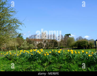 Tisbury, einem Dorf in der Nähe von Salisbury Wiltshire. England Großbritannien Stockfoto