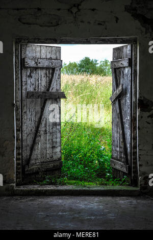 Holz Tür in verlassenen Haus öffnen. Grüne sonnige Wiese außerhalb. Stockfoto