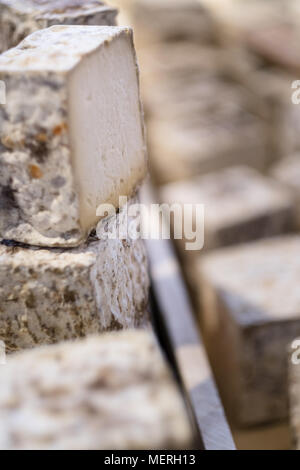 Auswahl von verschiedenen köstlichen Käse in der Anzeige eines cheesemonger Stockfoto