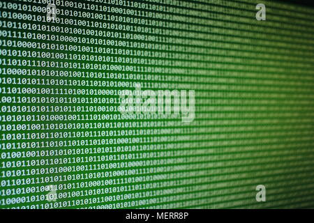 Grün ist der binäre Code Hintergrund. Stockfoto