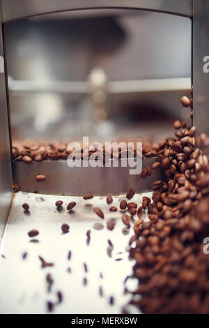 Bild von der gerösteten Kaffeebohnen von röster Stockfoto
