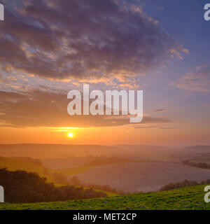 Frühjahr Sonnenuntergang über Osten Meon Valley aus der Nähe von Butser Hill, South Downs, Hampshire, Großbritannien Stockfoto