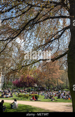 UCL Studenten in Gordon Square, Bloomsbury, London UK in der Frühlingssonne Stockfoto