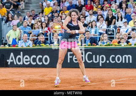 April 22, 2018: Patty Schnyder (SUI) während der FED Cup durch BNP Spiel 2018 zwischen Rumänien und der Schweiz im Sala Polivalenta, Cluj-Napoca, Rumänien ROU. Copyright: Cronos/Catalin Soare Stockfoto