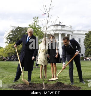 April 23, 2018 - Washington, District of Columbia, Vereinigte Staaten von Amerika - US-Präsident Donald Trump mit Frankreichs Präsident Emmanuel Längestrich und Erste Damen Melania Trump und Brigitte Längestrich pflanze einen Baum, ein Geschenk von der Präsident und Frau Längestrich, im Süden Rasen des Weißen Hauses in Washington, DC, USA, am Montag, 23. April 2018. Wie Längestrich kommt für die ersten Staatsbesuch des TrumpÃ-s Vorsitz, der US-Marktführer droht das globale Handelssystem mit Tarifen an China, hochkant, vielleicht auch Europa. Fotograf: Yuri Gripas/Bloomberg. Credit: Yuri Gripas/Pool über CNP (Credit I Stockfoto