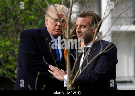 Us-Präsident Donald Trump und Frankreichs Präsident Emmanuel Längestrich begrüßen sich nach dem pflanzen einen Baum, ein Geschenk von der Präsident und Frau Längestrich, im Süden Rasen des Weißen Hauses in Washington, DC, USA, am Montag, 23. April 2018. Wie Längestrich für den ersten Staatsbesuch des Präsidenten, des Trump ankommt, die US-Führer droht das globale Handelssystem mit Tarifen an China, hochkant, vielleicht auch Europa. Credit: Yuri Gripas/Pool über CNP/MediaPunch Stockfoto