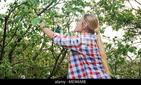 Porträt der jungen Frau schneiden von Zweigen auf der Apfelbaum im Garten Stockfoto