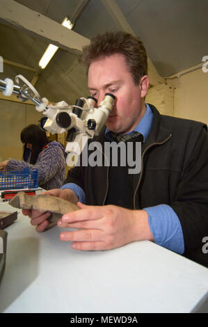 Ein Archäologe mit einem Stereomikroskop Keramik Artefakte in der Nähe zu prüfen, bis detail. Stockfoto