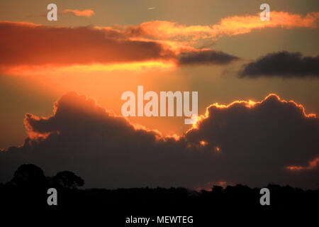 Eine spektakuläre winter Sonnenaufgang über St. Austell, Cornwall. Stockfoto